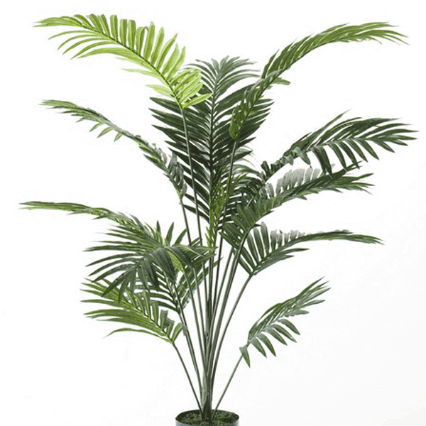 Árbol Palmera Deluxe