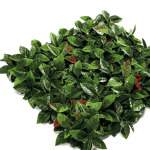 Jardín Vertical Photinia