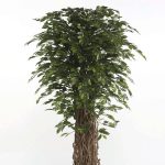 Detalle Árbol Ficus Deluxe Muebles Polque