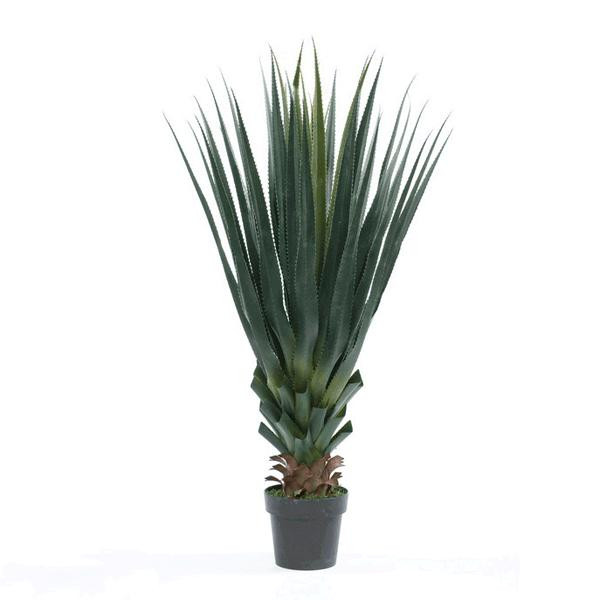 Planta Agave Pandora Muebles Polque