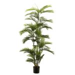 Árbol Palmera Premium Muebles Polque
