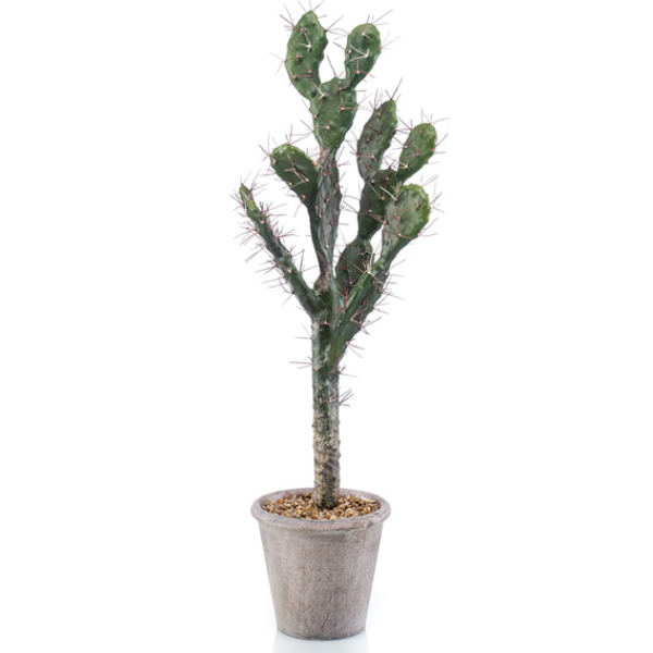 cactus artificial